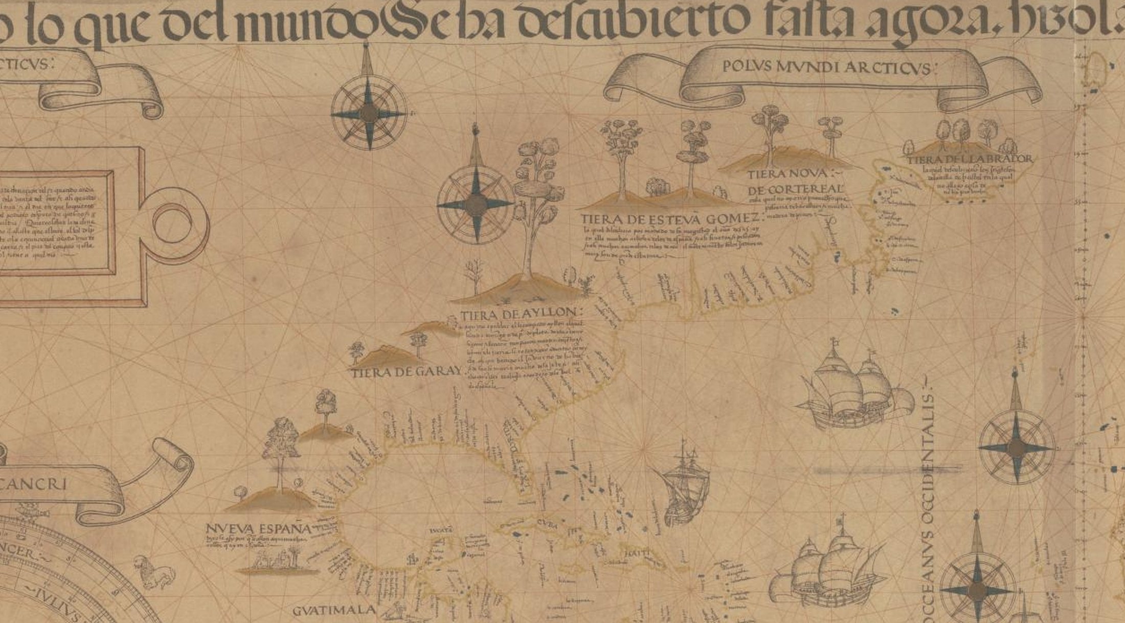 A detail of a hand-drawn sixteenth-century sea chart on parchment tone, crossed by rhumb lines from compass roses. The North American coast runs as a continuous inked line from the Gulf up to Labrador, hachured inland and dotted with small hills and trees. Banner lettering across the upper coast reads TIERA DE ESTEVA GOMEZ, with TIERA DE AYLLON, TIERA DE GARAY and TIERA NOVA DE CORTEREAL nearby, and two caravels under sail in the ocean at right.
