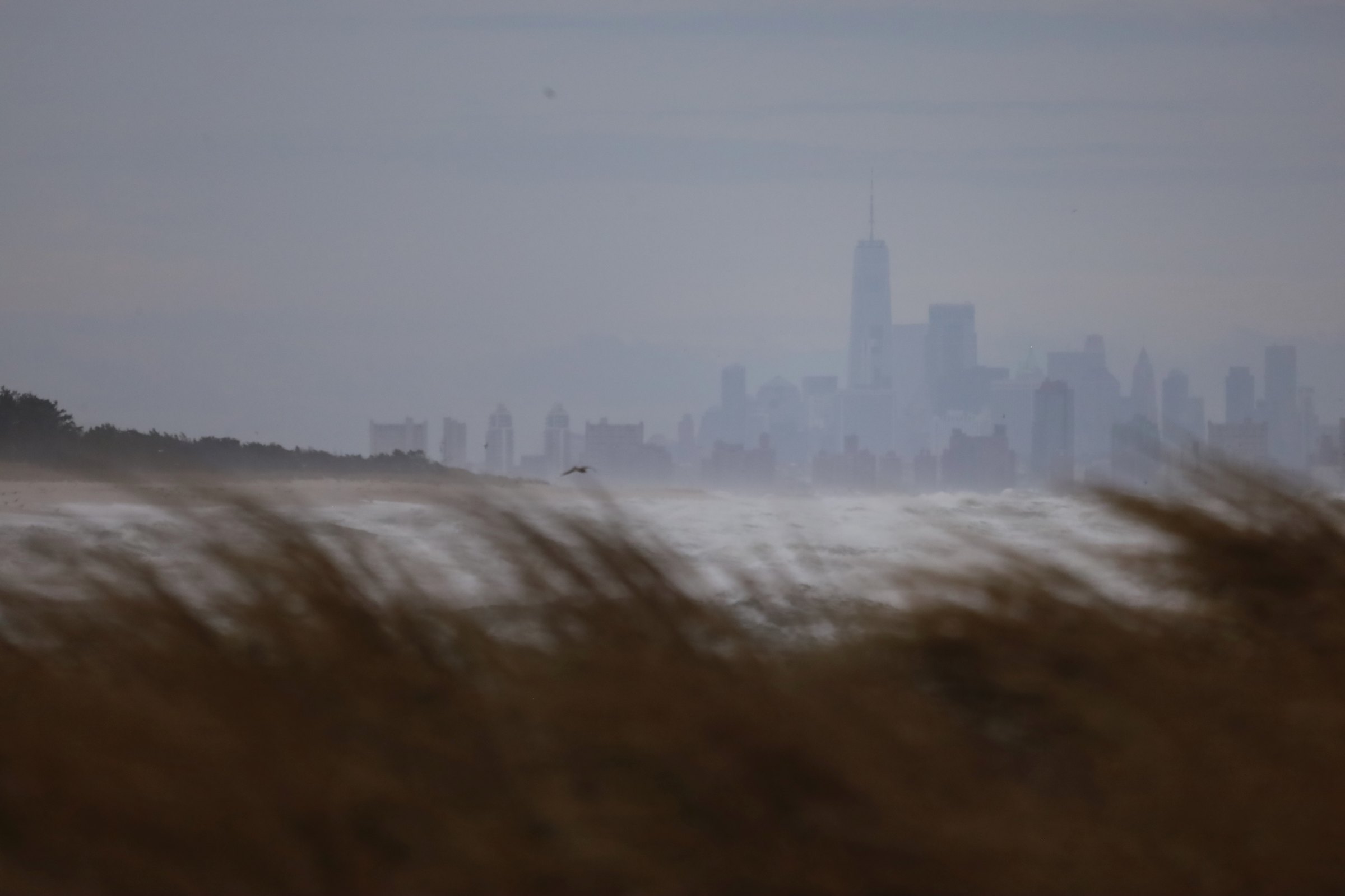 The Manhattan skyline hazy and distant across the water, seen through blurred wind-bent beach grass in the foreground