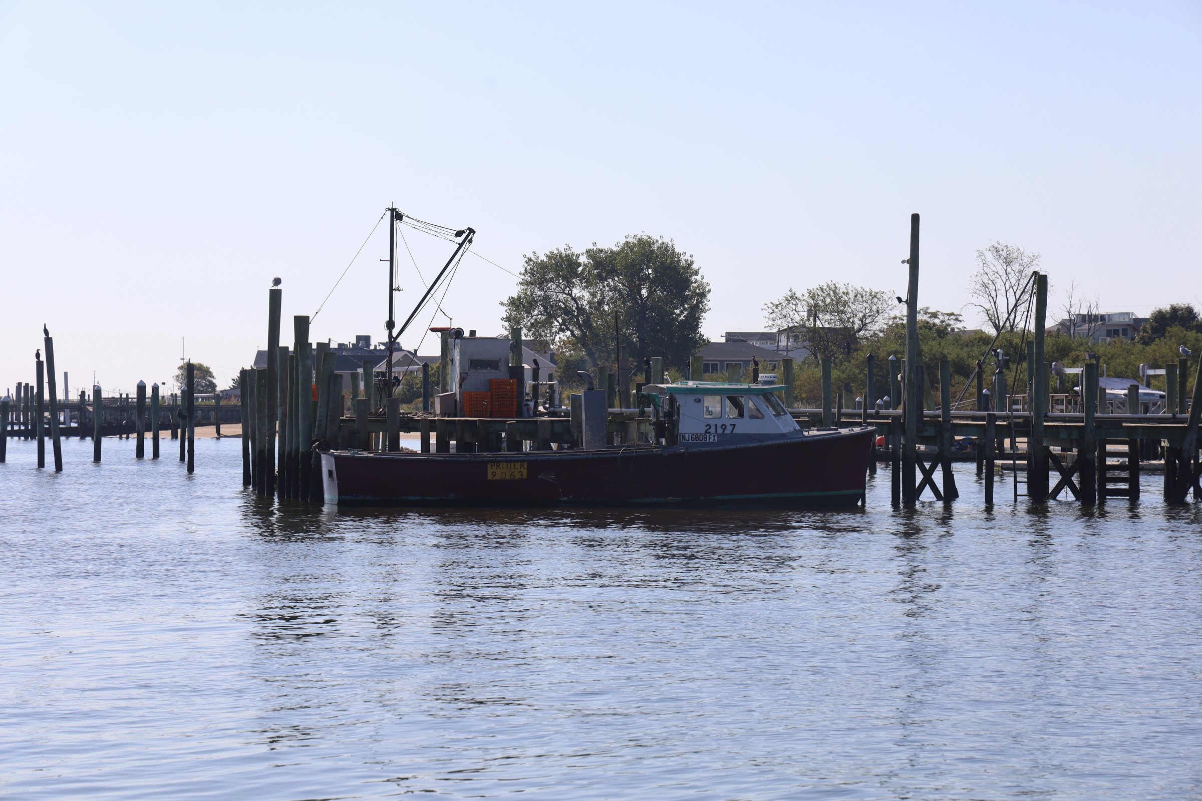 A maroon-hulled commercial fishing boat, numbered 2197 and lettered NJ6808FX and "Pratter," moored among weathered pilings at a bayshore dock, a picking boom rigged above the deck, trees and bayfront houses behind under a clear sky