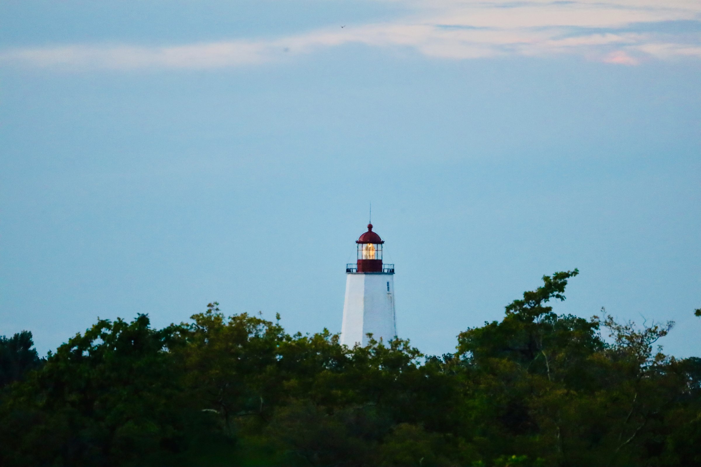 The Sandy Hook Lighthouse at dawn — a white octagonal tower with a lit red-domed lantern glowing, rising above a dark treeline under a pale sky